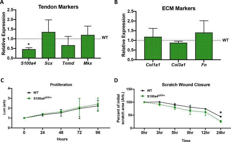 https://cdn.ncbi.nlm.nih.gov/pmc/blobs/e750/6546390/e7188c6099e8/elife-45342-fig4-figsupp3.jpg