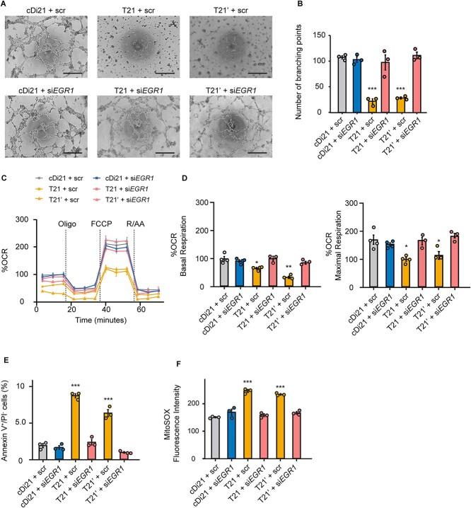 https://cdn.ncbi.nlm.nih.gov/pmc/blobs/e751/10729858/3c690836bc4e/ddad162f3.jpg