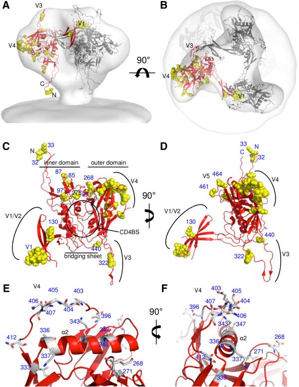 https://cdn.ncbi.nlm.nih.gov/pmc/blobs/e752/3849187/3a0d6b946194/1742-4690-10-102-4.jpg
