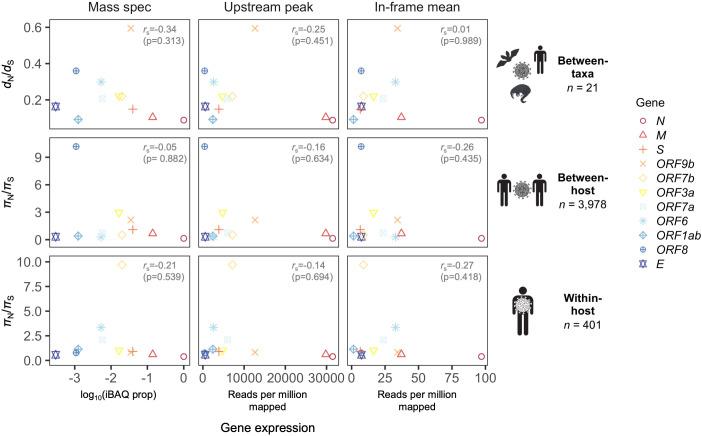 https://cdn.ncbi.nlm.nih.gov/pmc/blobs/e752/7655111/61c7687d2192/elife-59633-fig5-figsupp2.jpg