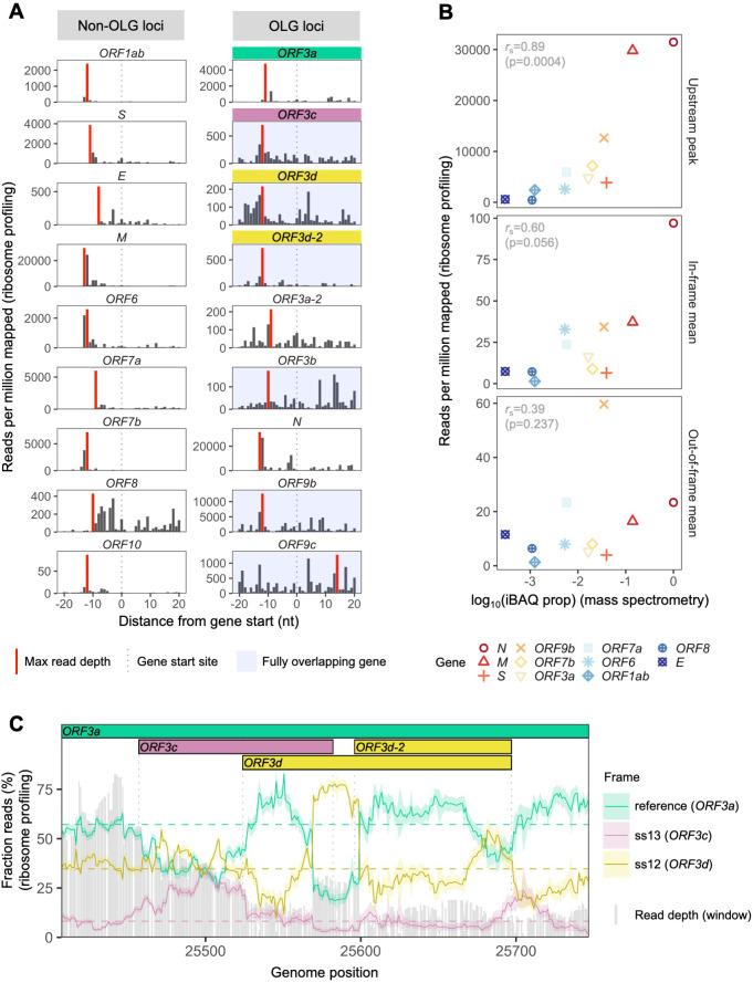 https://cdn.ncbi.nlm.nih.gov/pmc/blobs/e752/7655111/61f1eea1892d/elife-59633-fig2.jpg