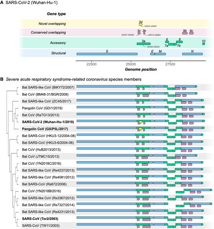 https://cdn.ncbi.nlm.nih.gov/pmc/blobs/e752/7655111/829836f4e989/elife-59633-fig1.jpg