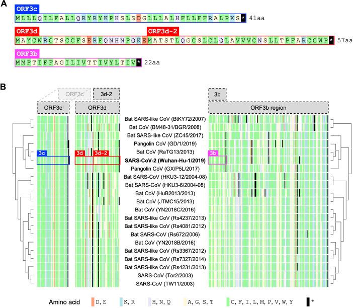 https://cdn.ncbi.nlm.nih.gov/pmc/blobs/e752/7655111/ce97ee8c9deb/elife-59633-fig4.jpg