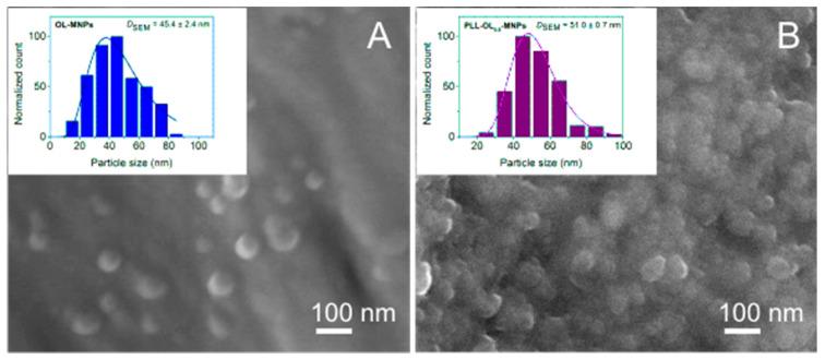 https://cdn.ncbi.nlm.nih.gov/pmc/blobs/e753/10305316/0b3d2f6552b3/nanomaterials-13-01831-g005.jpg