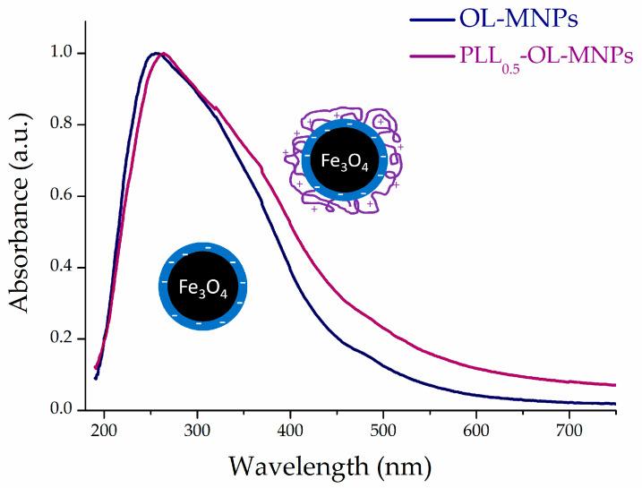 https://cdn.ncbi.nlm.nih.gov/pmc/blobs/e753/10305316/0c3bdf342b8d/nanomaterials-13-01831-g003.jpg