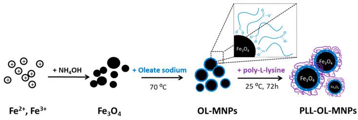 https://cdn.ncbi.nlm.nih.gov/pmc/blobs/e753/10305316/5cb49ace67e0/nanomaterials-13-01831-sch001.jpg