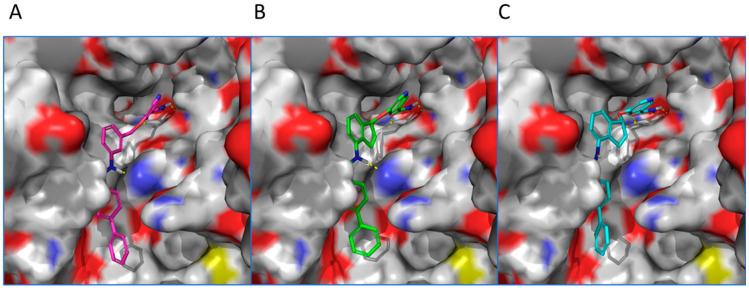 https://cdn.ncbi.nlm.nih.gov/pmc/blobs/e753/10674942/74e35d8c1e68/molecules-28-07655-g003.jpg