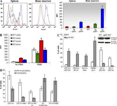 https://cdn.ncbi.nlm.nih.gov/pmc/blobs/e753/2556797/44a0428899b2/jem2052235f07.jpg