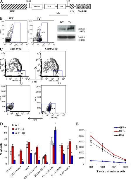 https://cdn.ncbi.nlm.nih.gov/pmc/blobs/e753/2556797/5a8f42196ed5/jem2052235f04.jpg