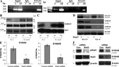 https://cdn.ncbi.nlm.nih.gov/pmc/blobs/e753/2556797/f9adec6ace35/jem2052235f06.jpg