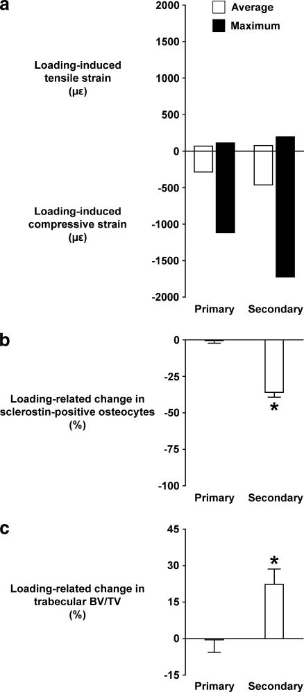 https://cdn.ncbi.nlm.nih.gov/pmc/blobs/e753/3304063/cf39a84bf79b/198_2011_1656_Fig2_HTML.jpg