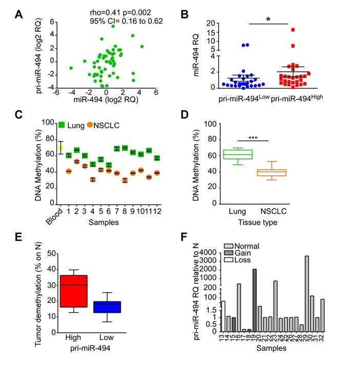 https://cdn.ncbi.nlm.nih.gov/pmc/blobs/e753/5352317/a8b04da17260/oncotarget-08-7231-g003.jpg