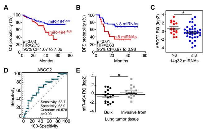 https://cdn.ncbi.nlm.nih.gov/pmc/blobs/e753/5352317/e91c230a2422/oncotarget-08-7231-g002.jpg