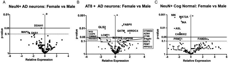 https://cdn.ncbi.nlm.nih.gov/pmc/blobs/e755/8207264/881bff95faa3/10.1177_17590914211019443-fig3.jpg