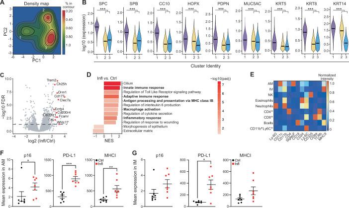 https://cdn.ncbi.nlm.nih.gov/pmc/blobs/e758/11321988/36d955883528/41556_2024_1465_Fig7_ESM.jpg