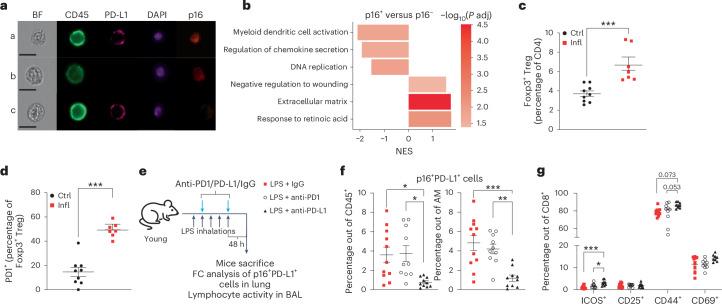 https://cdn.ncbi.nlm.nih.gov/pmc/blobs/e758/11321988/fb999cc7a98f/41556_2024_1465_Fig4_HTML.jpg
