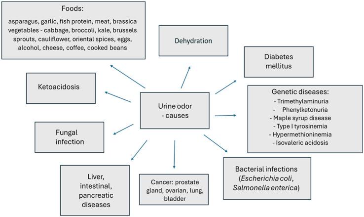 https://cdn.ncbi.nlm.nih.gov/pmc/blobs/e75a/11434675/3db4b1b50830/nutrients-16-03141-g002.jpg