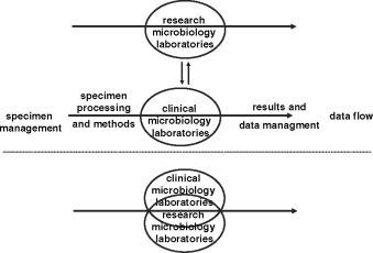 https://cdn.ncbi.nlm.nih.gov/pmc/blobs/e75a/7128898/a6041a4aaf2e/gr2.jpg