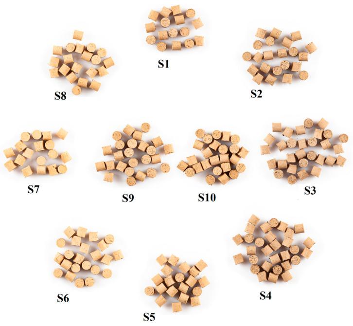 https://cdn.ncbi.nlm.nih.gov/pmc/blobs/e75a/8234776/f3abe832bd73/materials-14-03363-g002.jpg