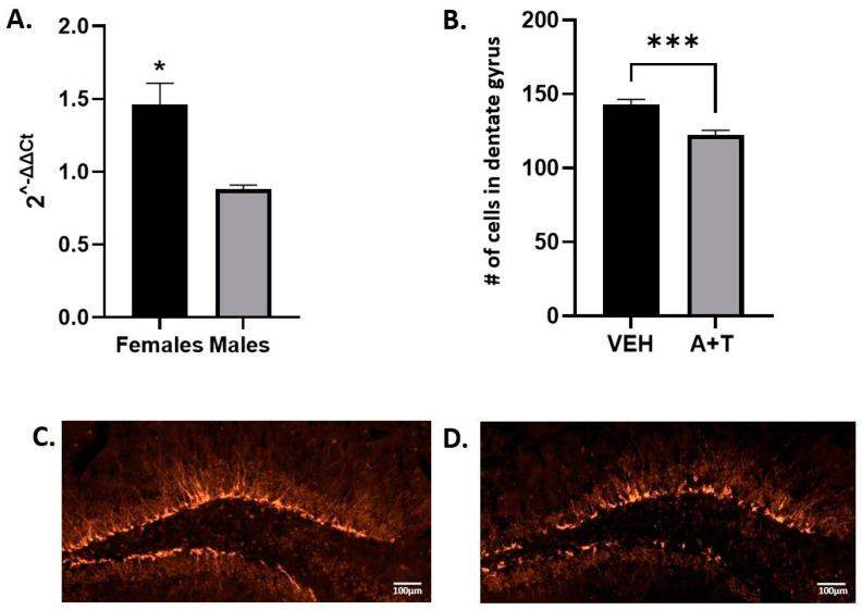 https://cdn.ncbi.nlm.nih.gov/pmc/blobs/e75b/10526910/8f2ff20b7750/biomolecules-13-01321-g005.jpg