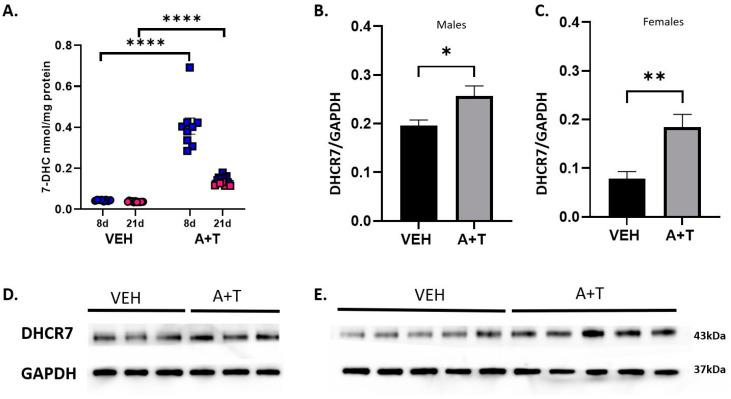 https://cdn.ncbi.nlm.nih.gov/pmc/blobs/e75b/10526910/a25eda10a497/biomolecules-13-01321-g004.jpg