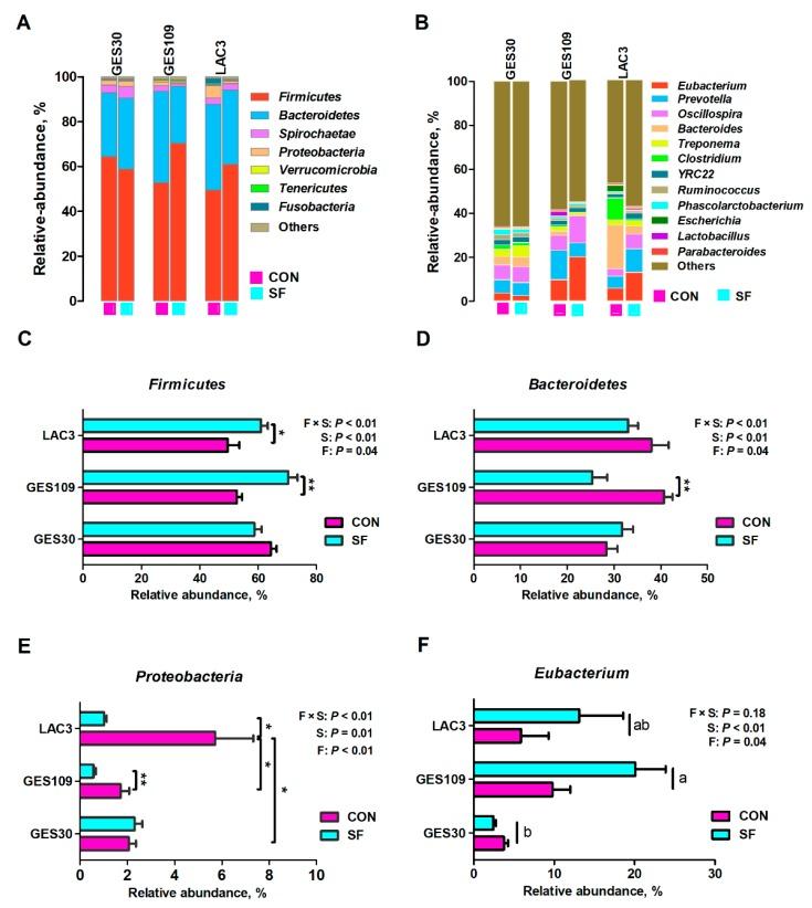 https://cdn.ncbi.nlm.nih.gov/pmc/blobs/e75b/7013540/9354037bac45/ijms-21-00635-g002.jpg