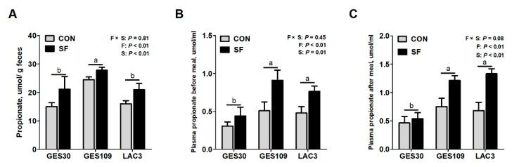 https://cdn.ncbi.nlm.nih.gov/pmc/blobs/e75b/7013540/cb4b36310ef6/ijms-21-00635-g004.jpg