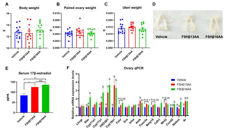 https://cdn.ncbi.nlm.nih.gov/pmc/blobs/e75b/9570415/4ab8bbb66319/ijms-23-11735-g004.jpg