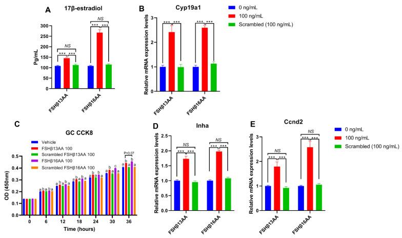 https://cdn.ncbi.nlm.nih.gov/pmc/blobs/e75b/9570415/c1274544faad/ijms-23-11735-g008.jpg