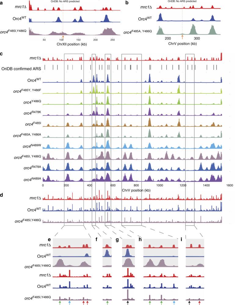 https://cdn.ncbi.nlm.nih.gov/pmc/blobs/e75c/7560902/4c3fb288f0bc/41467_2020_18964_Fig3_HTML.jpg