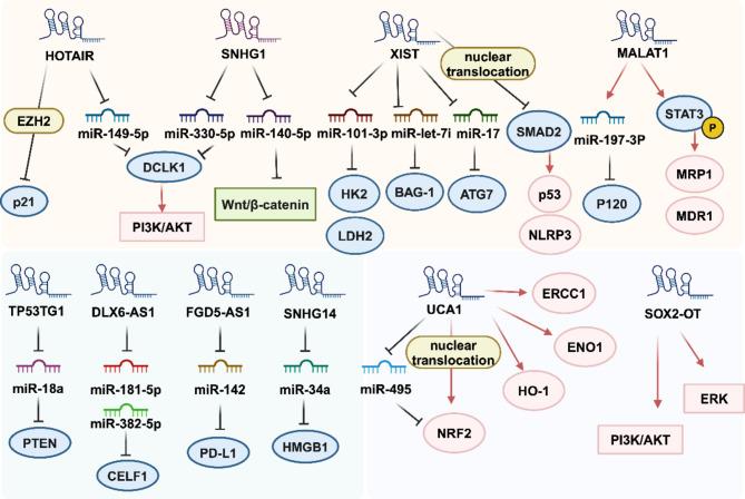 https://cdn.ncbi.nlm.nih.gov/pmc/blobs/e75e/11549762/132aede558d0/12935_2024_3549_Fig2_HTML.jpg
