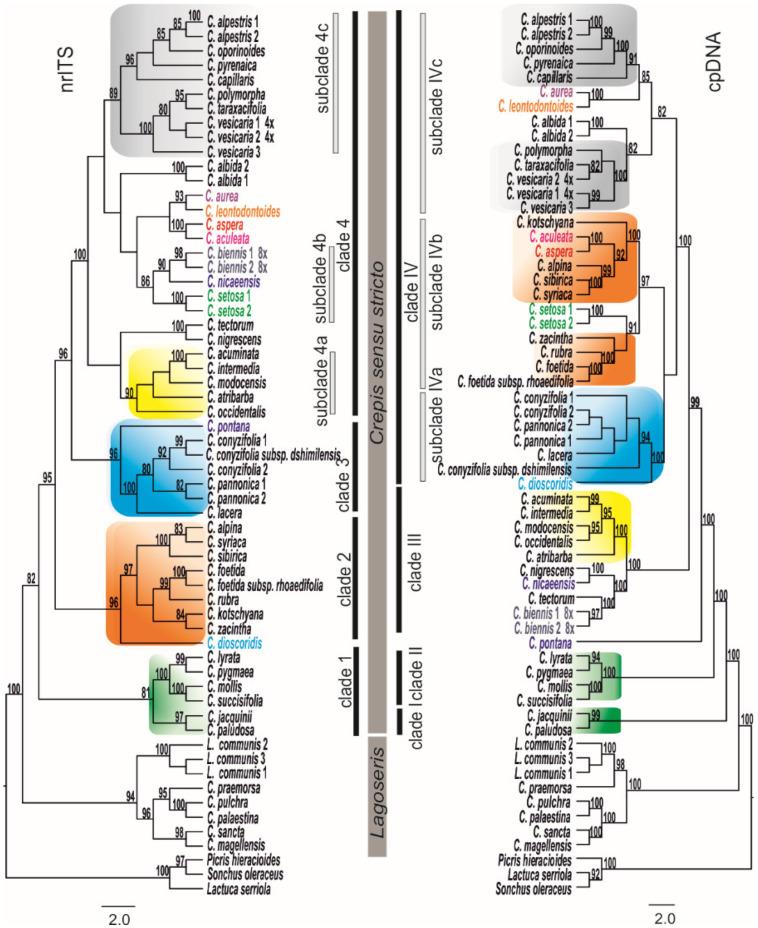 https://cdn.ncbi.nlm.nih.gov/pmc/blobs/e75f/8472258/dc9d0149e9a9/genes-12-01436-g001.jpg