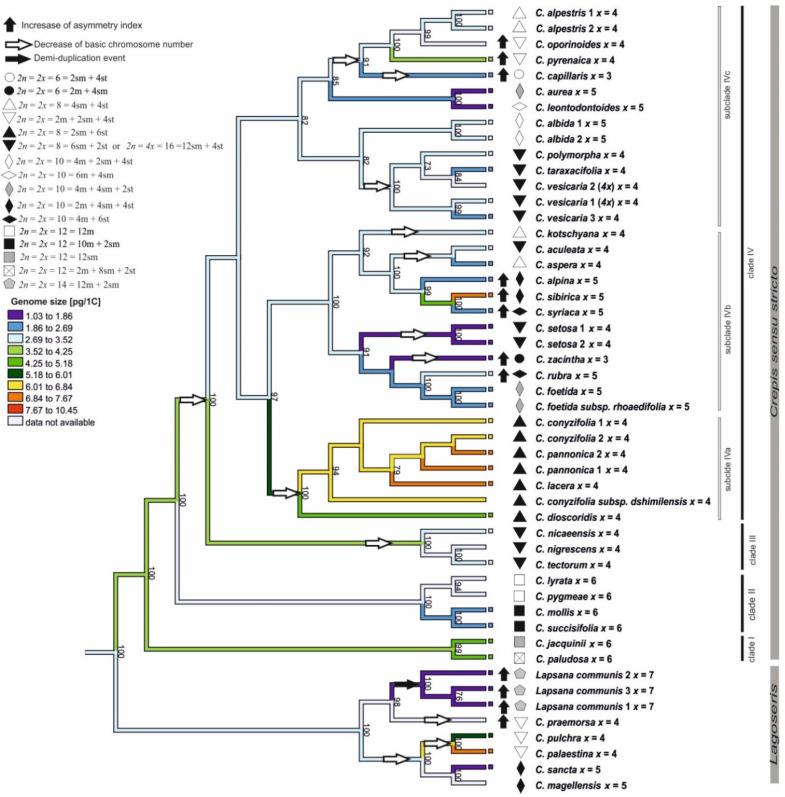 https://cdn.ncbi.nlm.nih.gov/pmc/blobs/e75f/8472258/defd753cfce6/genes-12-01436-g005.jpg