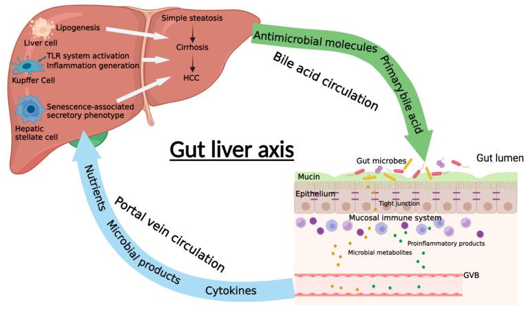 https://cdn.ncbi.nlm.nih.gov/pmc/blobs/e75f/8945287/32d5b415c5c8/biomedicines-10-00524-g001.jpg