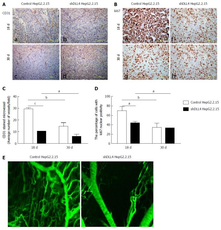 https://cdn.ncbi.nlm.nih.gov/pmc/blobs/e760/6141339/67c849ef4e68/WJG-24-3861-g002.jpg