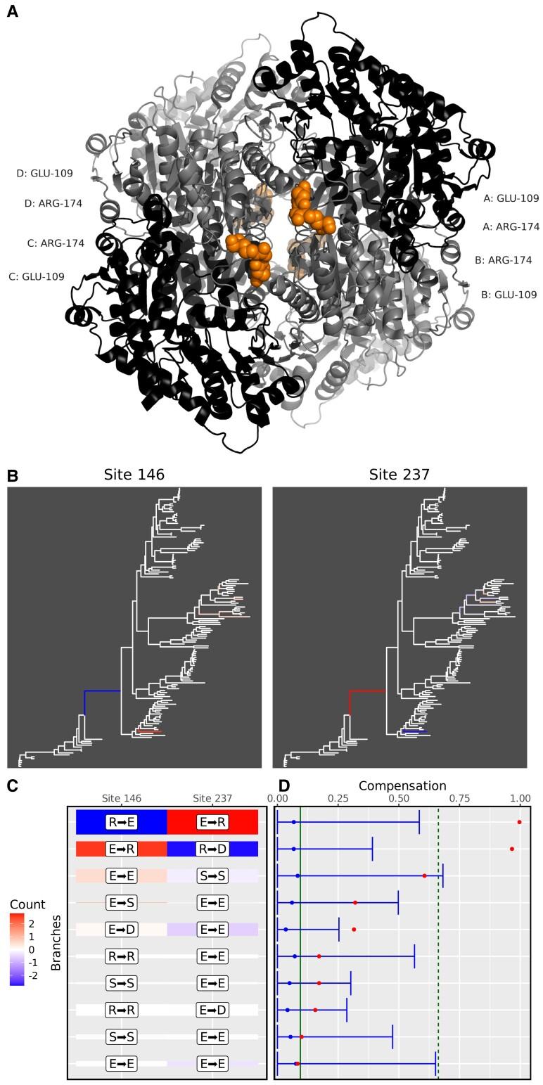 https://cdn.ncbi.nlm.nih.gov/pmc/blobs/e761/9004419/77532ba5ebbd/msac063f1.jpg