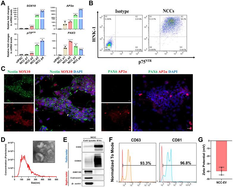 https://cdn.ncbi.nlm.nih.gov/pmc/blobs/e764/12107788/38f47095290a/40478_2025_2033_Fig1_HTML.jpg