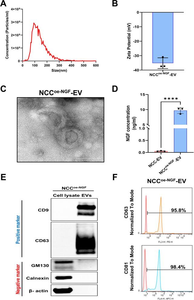 https://cdn.ncbi.nlm.nih.gov/pmc/blobs/e764/12107788/9f7d83495528/40478_2025_2033_Fig5_HTML.jpg