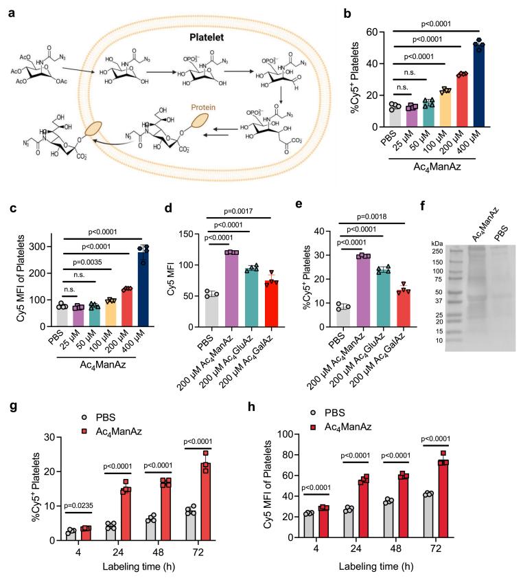 https://cdn.ncbi.nlm.nih.gov/pmc/blobs/e765/11999579/0d85c8d60d2e/gr1.jpg