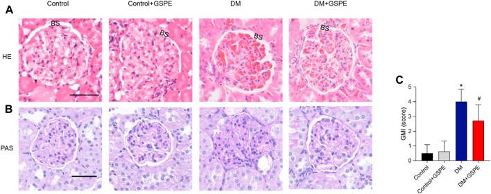 https://cdn.ncbi.nlm.nih.gov/pmc/blobs/e766/9853208/cab88565312e/fphar-13-1035755-g002.jpg
