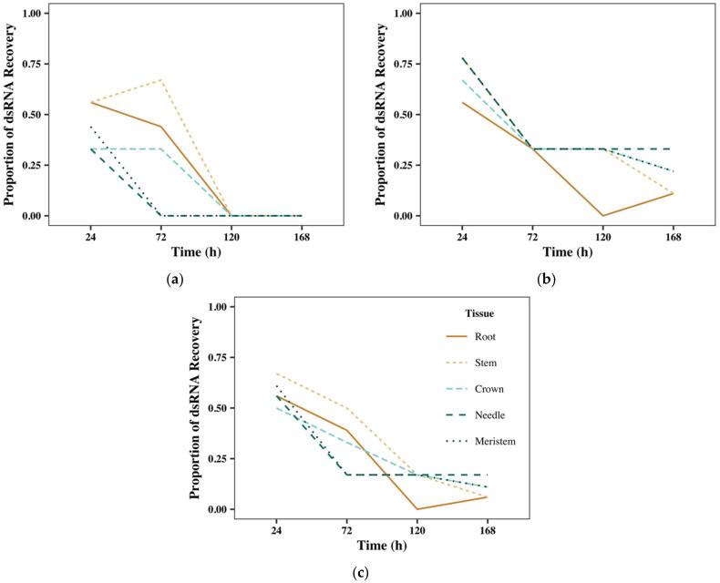 https://cdn.ncbi.nlm.nih.gov/pmc/blobs/e769/9409306/ee2a31bdbd07/ijms-23-09167-g003.jpg