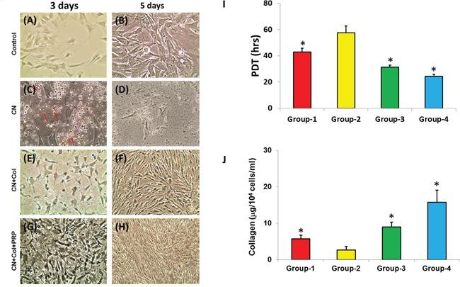 https://cdn.ncbi.nlm.nih.gov/pmc/blobs/e76a/5421924/a448fdb6073b/oncotarget-08-25226-g002.jpg