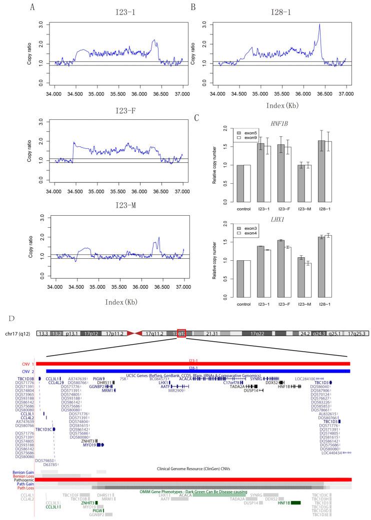 https://cdn.ncbi.nlm.nih.gov/pmc/blobs/e76c/9655474/4b505ca0219c/ijms-23-12853-g001.jpg