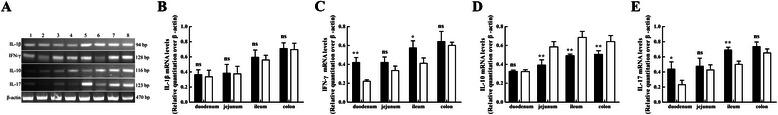 https://cdn.ncbi.nlm.nih.gov/pmc/blobs/e76e/4426540/51c8b6814312/12876_2015_272_Fig3_HTML.jpg
