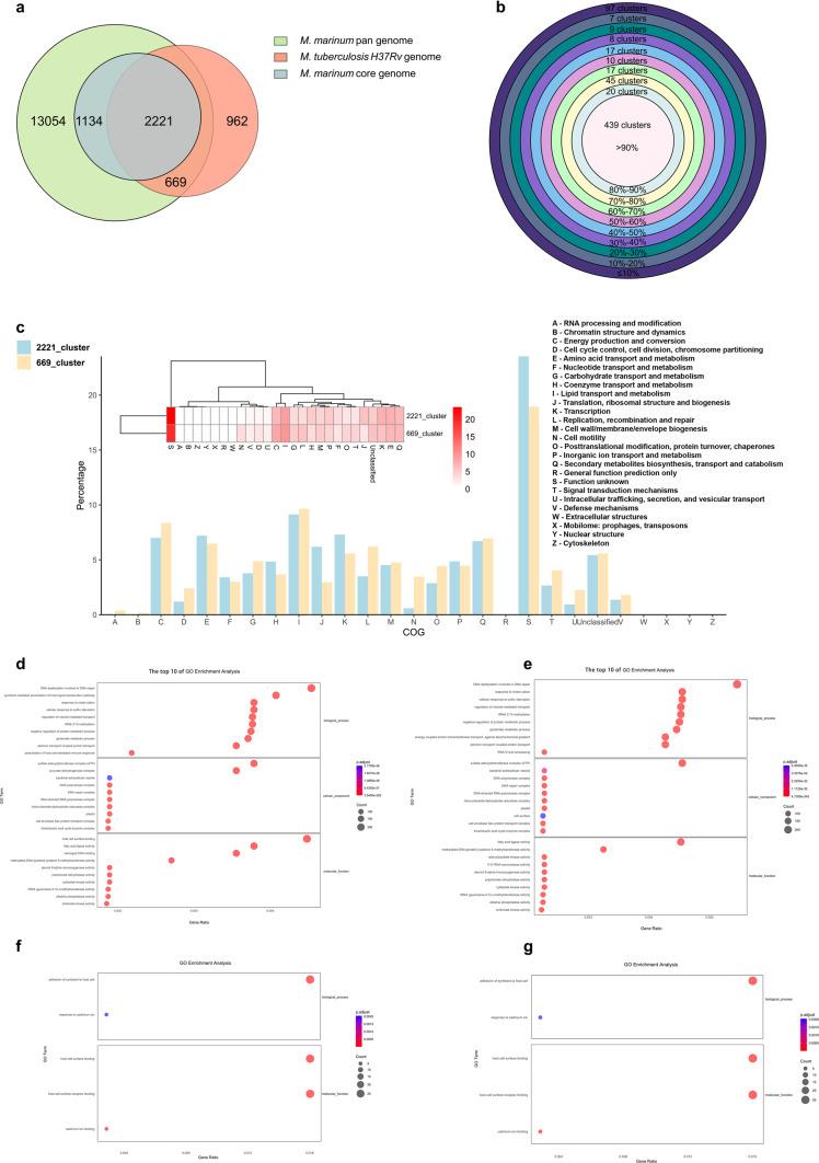 https://cdn.ncbi.nlm.nih.gov/pmc/blobs/e76f/11557581/6c457c2c2118/41598_2024_75228_Fig5_HTML.jpg