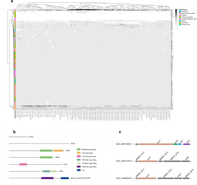 https://cdn.ncbi.nlm.nih.gov/pmc/blobs/e76f/11557581/b3a0552485f5/41598_2024_75228_Fig4_HTML.jpg