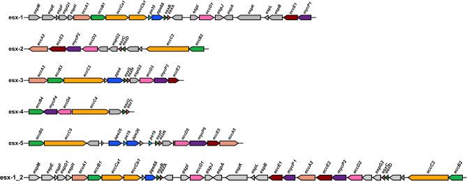 https://cdn.ncbi.nlm.nih.gov/pmc/blobs/e76f/11557581/cbbb79933232/41598_2024_75228_Fig2_HTML.jpg