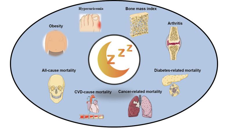 https://cdn.ncbi.nlm.nih.gov/pmc/blobs/e773/10664015/c1a7678b7378/publichealth_v9i1e46385_fig1.jpg
