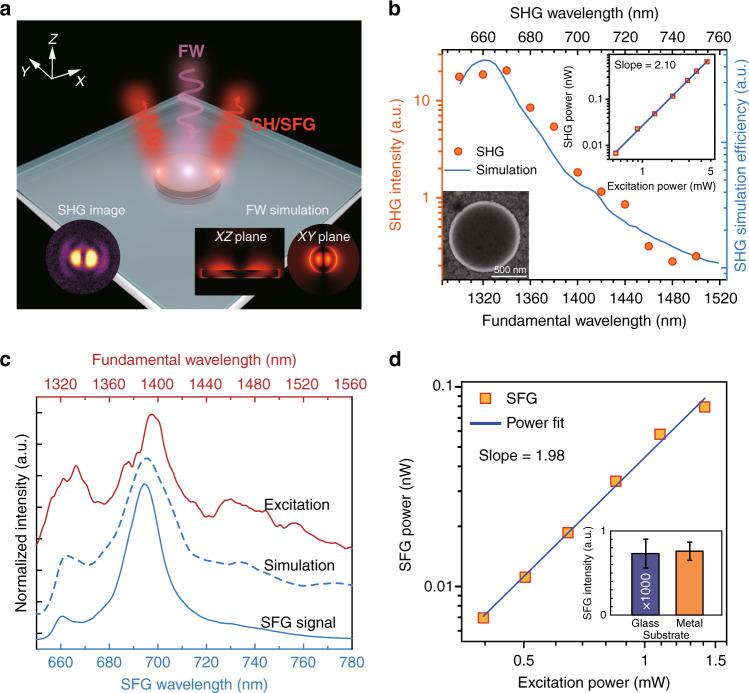 https://cdn.ncbi.nlm.nih.gov/pmc/blobs/e774/7582155/8ef6cfda794d/41377_2020_414_Fig5_HTML.jpg