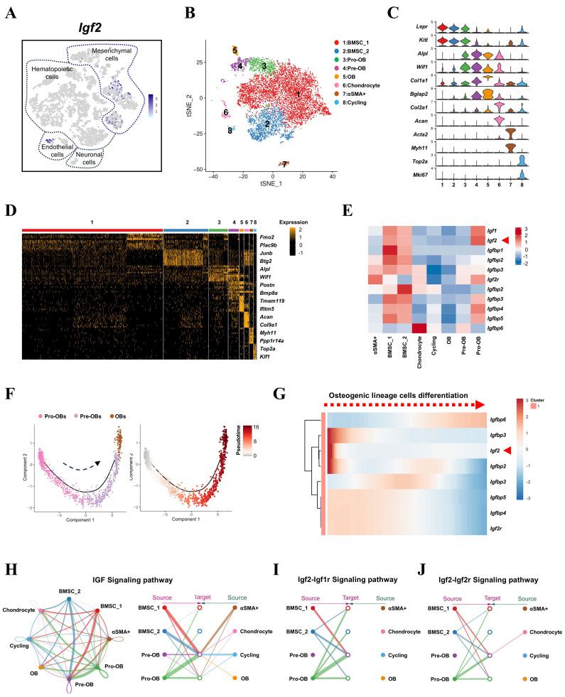 https://cdn.ncbi.nlm.nih.gov/pmc/blobs/e776/12080382/318f8ca369e9/ijbsv21p3229g001.jpg